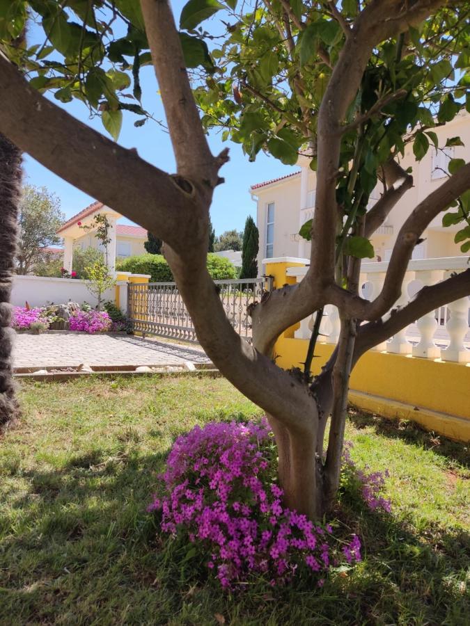 Apartman Car Вир Экстерьер фото